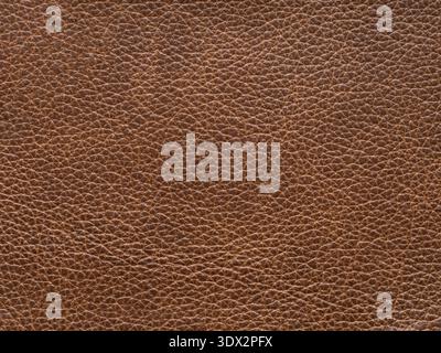 Beige or light brown color leather skin natural with design lines pattern or abstract background. Can use as wallpaper or backdrop luxury event Stock Photo