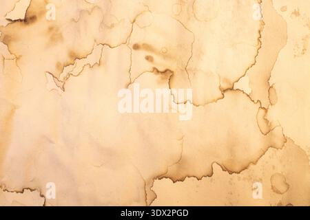 Water damaged beige paper with brown marks and stains, abstract backdrop or overlay template Stock Photo