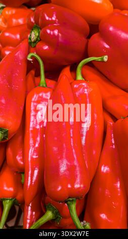 Red bell peppers in large boxes on store shelves. Vegetable display and sale. Stock Photo
