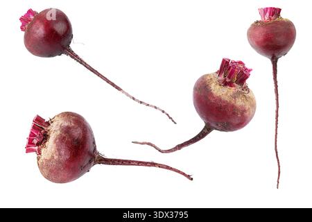 Fresh whole beetroot isolated on white background. Four raw red beets with trimmed tops and long roots. Organic root vegetable, farm produce, healthy Stock Photo