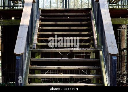 Old wooden staircase leading up in a park or forest area Stock Photo