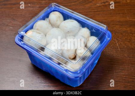 A blue tray of mushrooms on a wooden background Stock Photo