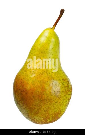 Single pear isolated on white background Stock Photo