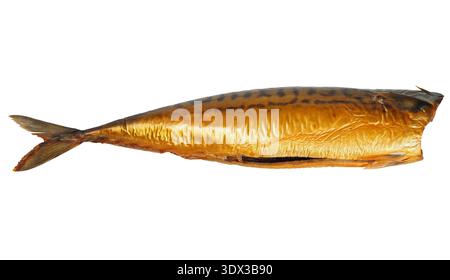 Smoked mackerel fish isolated on white background Stock Photo