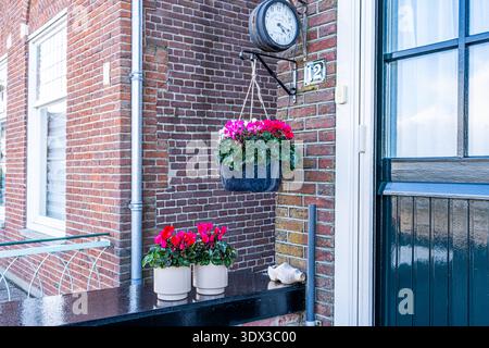 Cyclamen Flowers in pot on porch House window garden outdoor planting decorations. Clock on door home. Volendam, Netherlands - October 27, 2025 Stock Photo