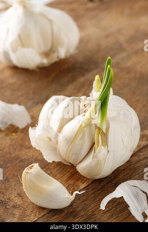 Broken bulb of white garlic with sprouted cloves on wooden cutting board. Sprouted garlic for planting in spring. Stock Photo