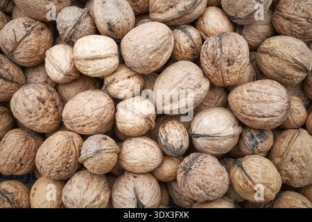 Close up photo walnuts, selective focus. Stock Photo