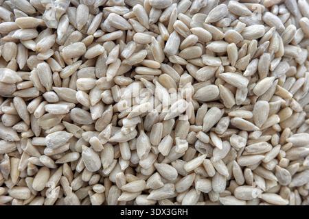 Close up of peeled sunflower seeds. Stock Photo