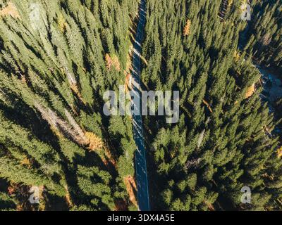 Aerial view of asphalt highway cutting through dense pine forest in mountain pass during autumn in Passo Giau, Dolomites, Italy Stock Photo