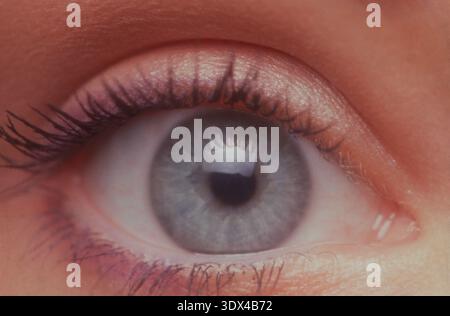 Young woman's eye close-up. Stock Photo
