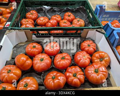 Fresh Farm Tomatoes For Cooking. Authentic Heirloom Beefsteak Tomatoes In Crate. Premium Quality Heirloom Tomatoes With Unique Shapes And Rich Red Fle Stock Photo