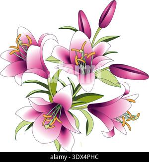 bouquet of pink lily flowers, flowers and buds. Drawing for printing on fabric, cards, invitations, ornaments Stock Vector