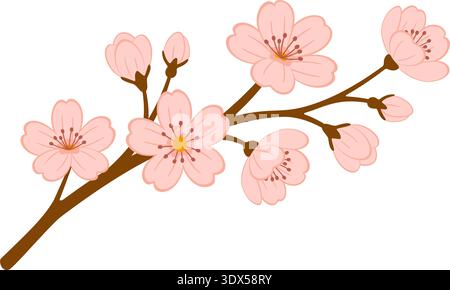 Cherry blossom branch with pink sakura flowers and buds. Hand drawn trendy flat style isolated. Elegant floral element for spring designs, invitations, cards decor and stickers. Vector illustration Stock Vector