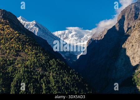 A snow-covered peak of the Baralacha La range rises above a forested valley, with jagged Himalayan ridges visible in the distance. Stock Photo