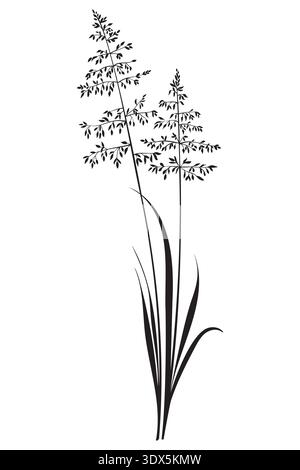 Vector flower floral black silhouette hand drawn. Botanical illustration on white background. Elegant spring nature element with leaves, flowers Stock Vector