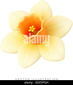 Yellow daffodil flower 3D realistic icon. Spring Easter vector illustration Stock Vector