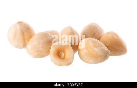 Hazelnut isolated on white background. Peeled hazelnuts. Clipping path. Stock Photo