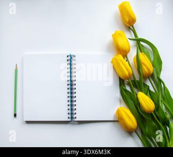 Blank notebook with pencil and fresh yellow tulips on light background flat lay composition for spring planning concept. Stock Photo