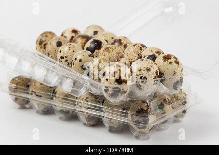 Quail eggs are stacked in a clear plastic container. The eggs are small and have a speckled pattern. Stock Photo