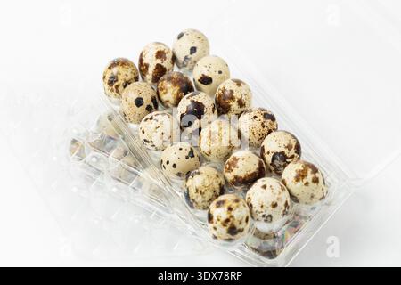 Quail eggs are placed in a clear plastic container with organized rows. The eggs show various brown and speckled patterns. Stock Photo