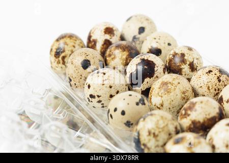 Small quail eggs rest in a clear plastic container. Each egg displays a unique pattern of brown and black spots. Stock Photo
