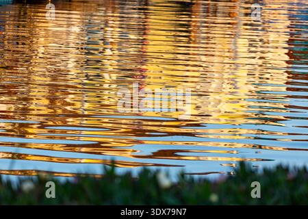The image shows the reflection of a building in the water, with the ripples creating a distorted and abstract effect. The colors are warm and golden, Stock Photo