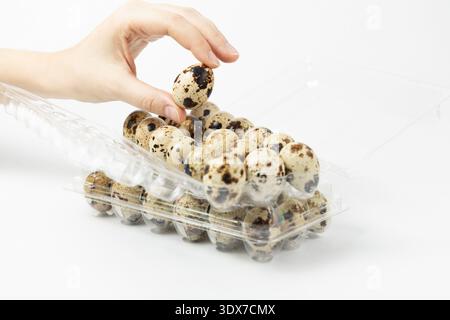 A hand reaches for a quail egg in a clear plastic container filled with many eggs. The surface is white and the eggs have a speckled pattern. Stock Photo