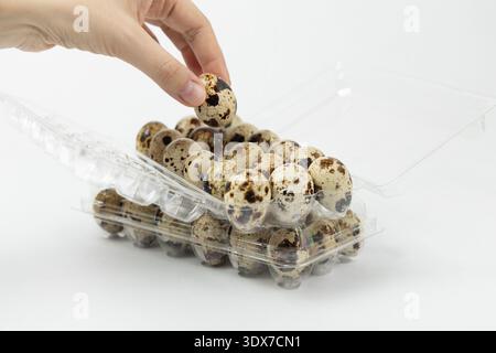 A hand reaches for a quail egg in a clear plastic container filled with several eggs. Stock Photo
