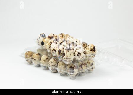 Quail eggs are placed in clear plastic trays. Some eggs have dark spots while others are light. The setting shows a focus on preparing eggs. Stock Photo
