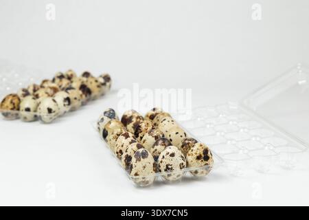 Quail eggs are arranged in clear plastic trays. The eggs have different color patterns on their shells. Stock Photo