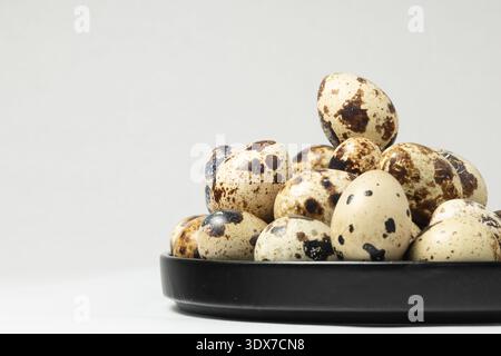 Quail eggs are displayed in a black plate. The eggs have a speckled pattern and are placed on a flat surface. Stock Photo