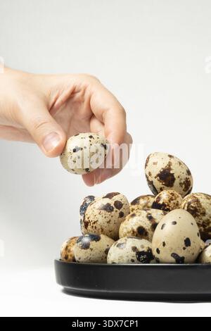 A hand reaches for a speckled quail egg placed among many others in a black bowl. Stock Photo