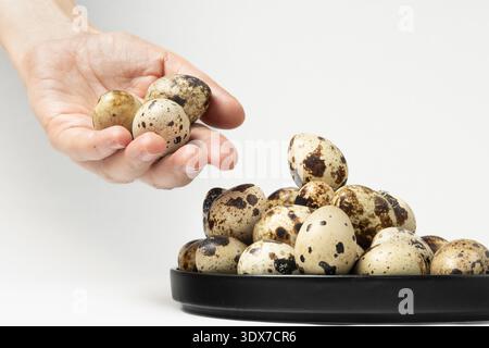 A hand is seen holding one quail egg while several quail eggs are stacked on a black plate. Stock Photo