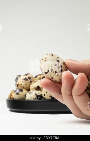 A person holds a single quail egg while several eggs rest on a black plate in the background. Stock Photo