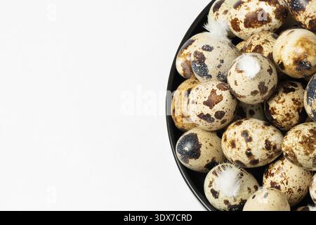 A bowl holds many quail eggs with different patterns and colors on their shells. Some eggs have small white feathers next to them. Stock Photo