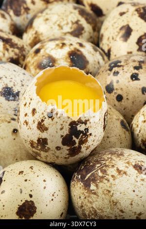 Quail eggs are arranged in a basket. One egg is cracked open, revealing a bright yellow yolk inside. Stock Photo
