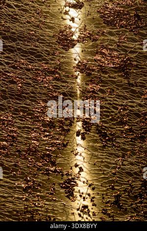 Golden luxury wallpaper in metallic texture. Golden reflective gold flakes on surface. Golden abstract pattern for jewelry art. Golden sparkling Stock Photo