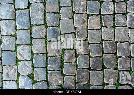Cobblestone path with green grass growing between stones in a public space Stock Photo