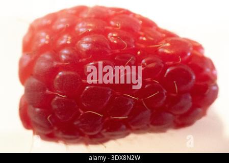 Single fresh red raspberry on white background Stock Photo
