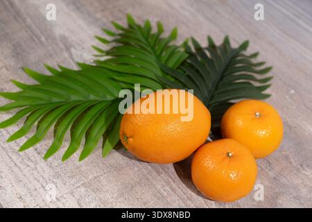 Oranges and palm leaves on grey wooden background Stock Photo