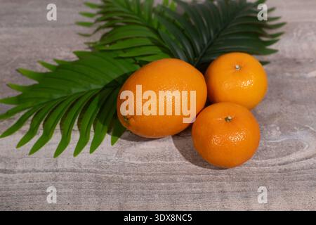 Still life with oranges and tropical palm leaves on wood Stock Photo