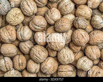 Pile of walnuts in shell shot from above Stock Photo