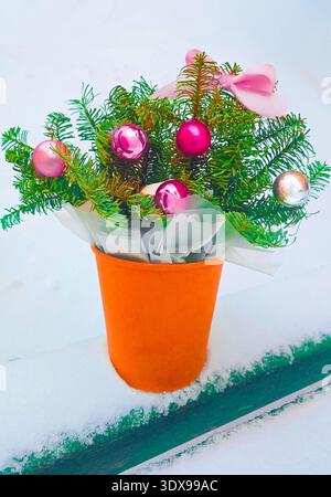 Fresh fir branches bouquet wrapped in paper vase stands on white snow background Stock Photo