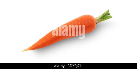 A carrot is shown on a white background. The carrot is long and thin, with a green stem at the top Stock Photo