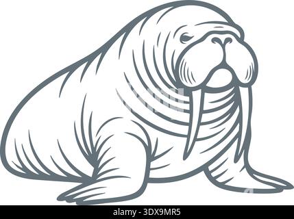Detailed sketch of a walrus resting with long tusks and wrinkled body Stock Vector