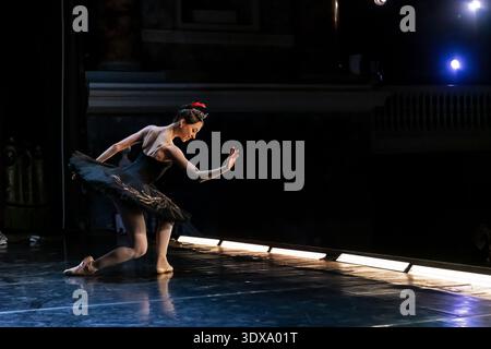 Ballerina in Black Swan costume bowing toward dark auditorium Stock Photo