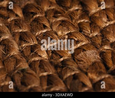 Detailed macro view of braided natural fibers forming a woven pattern Stock Photo