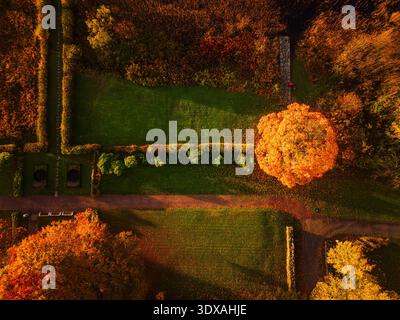 Aerial view of beautiful back yard in autumn Stock Photo