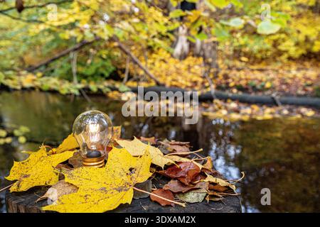Electric bulb with maple leaves on tree stump in forest Stock Photo