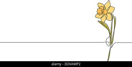 continuous line drawing of single yellow daffodil, narcissus line art vector illustration Stock Vector